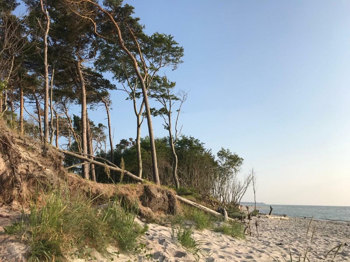 "Kontorhaus" By Ferienhaus Strandgut Born Zewnętrze zdjęcie